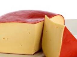 Gouda cheese for sale