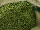 Green Cardamom (8mm Bolt) - photo 1