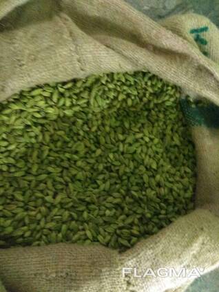 Green Cardamom (8mm Bolt)