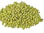 GREEN MUNG BEANS - photo 1