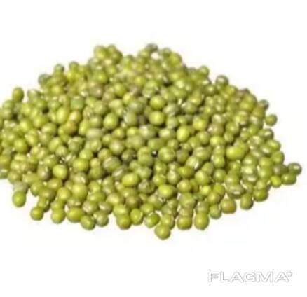 GREEN MUNG BEANS