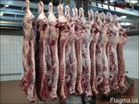 Halal Meat Beef Half/Quarter Carcasses - photo 3