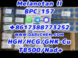 HGH 191AA BPC-157 TB-500 raw powder 12629-01-5 Best Price - photo 1