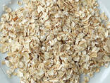 Healthy Instant Oat Flakes Dried Breakfast Oats Large Stock Fast Shipping - photo 3