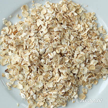 High Quality Brown Dried Rolled Oats Natural Product Oat Flakes DE Origin 24 Months Shelf