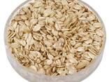 High Quality Brown Dried Rolled Oats Natural Product Oat Flakes DE Origin 24 Months Shelf - photo 1
