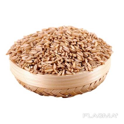 100% Pure Quality Rolled Oats Grains Available / High Quality Oat Flakes For Sale
