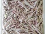 High Quality Chicken Paws/Wholesale Frozen Chicken Feet for Sale at Best Price - фото 2