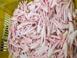 High Quality Chicken Paws/Wholesale Frozen Chicken Feet for Sale at Best Price - фото 1