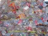 High-quality plastic PET bottle for sale and scrap pet bottle supplier - photo 1