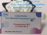 High quality proparacaine cas 5875-06-9 with low price - photo 3
