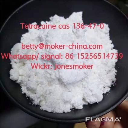 High quality tetracaine cas 136-47-0 with low price