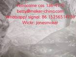 High quality tetracaine cas 136-47-0 with low price - photo 1