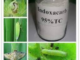 Indoxacarb 10% Tolfenpyrad 20% SC