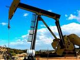 JP54, A1, D2, D6, M100, Crude oil, gasolene, LPG, LNG - photo 1