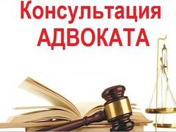 Consultation of a lawyer in the USA