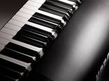 KORG SV-2 73 STAGE VINTAGE PIANO - BLACK STAGE RIG - фото 1