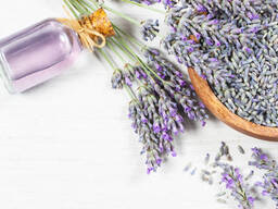 Lavender oil for sale