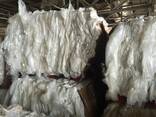 Ldpe Film Scrap - photo 6