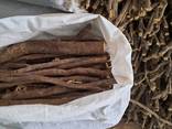Солодковый корень и солодковый экстракт - фото 1