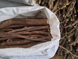 Licorice root and extract