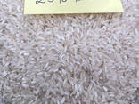 Long Grain Rice from Vietnam - photo 2