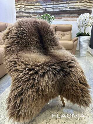 Long haired nederlands sheepskin XXL