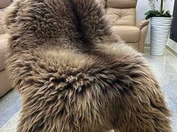 Long haired nederlands sheepskin XXL