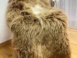 Long haired nederlands sheepskin XXL - photo 1