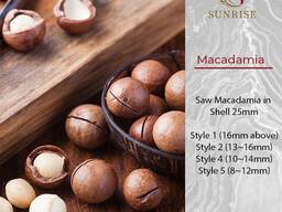 Macadamia Nuts