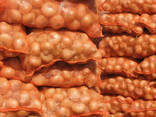 Market price for Yellow/ Red Onion (2019 Organic Garlic) - photo 1