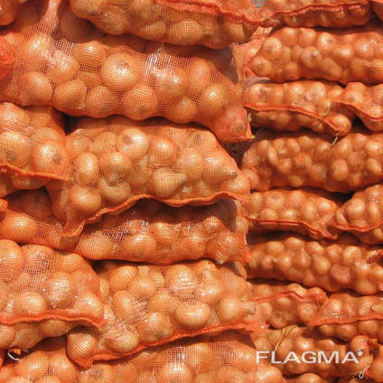 Market price for Yellow/ Red Onion (2019 Organic Garlic)
