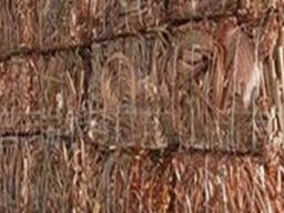 Mill Berry Copper 99.99% Copper Wire Scrap