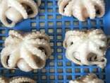 Заморожена риба та морепродукти в США від виробника з КНР - фото 9