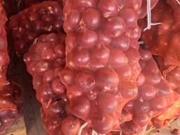 Onion vegetables wholesale