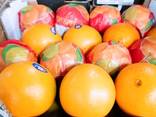 Orange Navel - photo 1