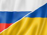 Перевод русский-украинский, украинский-русский текстов, статей, документов, книг - фото 1