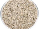 Perilla seed - фото 2