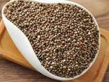 Perilla seed - фото 3