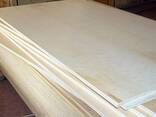 Birch plywood (FSF and FC) - photo 1