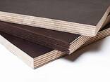 Birch plywood (FSF and FC) - photo 2