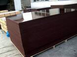 Birch plywood (FSF and FC) - photo 3