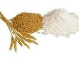 Предлагаем муку 4-х видов / We offer 4 types of flour - photo 1