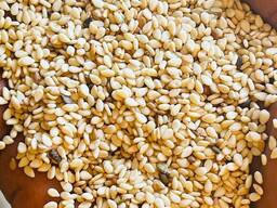 Top Grade White Sesame Seeds – Min 10MT – Buyer Packaging Option