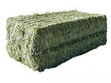 Alfalfa Hay Timothy High Quality Cheap Hay for Animal Feeding - photo 3