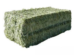 Premium High Quality 100kg Bale 100% Natural Alfalfa Hay Best Grade High Protein Cattle