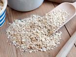Premium Quality Fresh White Oats Grains Wholesale - Large Flake - photo 1