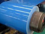 Prepainted Galvanized Steel Sheet - photo 1