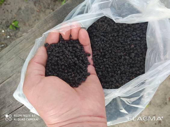 Продам бузину замороженную, и сушенную.