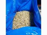 Продам орех грецкий оптом Nuts 1/2, 1/4, Mix. - photo 1